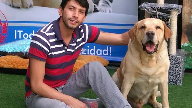 LAS MASCOTAS EN APARTAMENTOS: UN RETO DE LA MODERNIDAD.