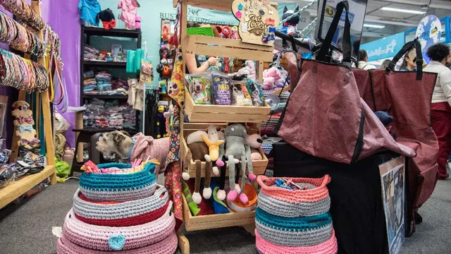Expopet trae una espectacular muestra de juguetes para mantener entretenidas a las mascotas