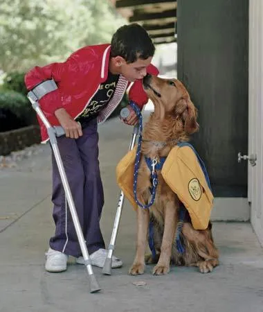 Terapia asistida con mascotas ayuda a niños con dificultades de aprendizaje