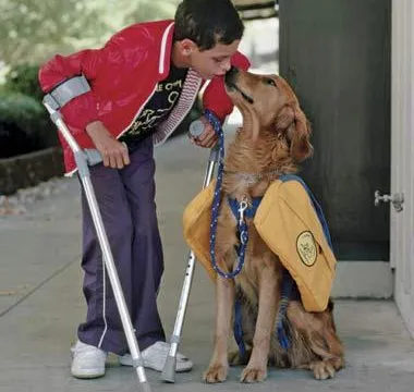 Terapia asistida con mascotas ayuda a niños con dificultades de aprendizaje