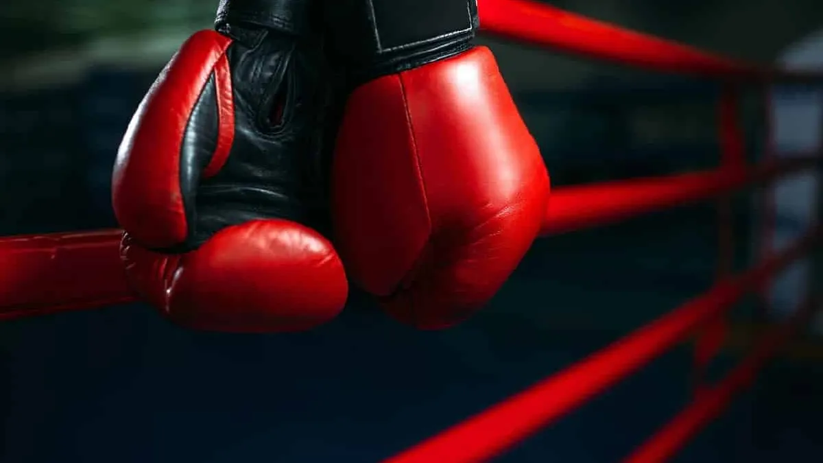 REDES SOCIALES O RING DE BOXEO