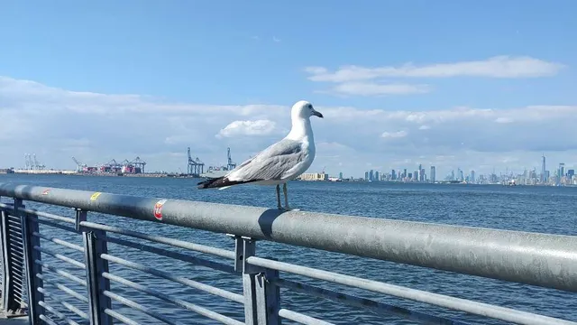 UN RESPIRO LLAMADO STATEN ISLAND