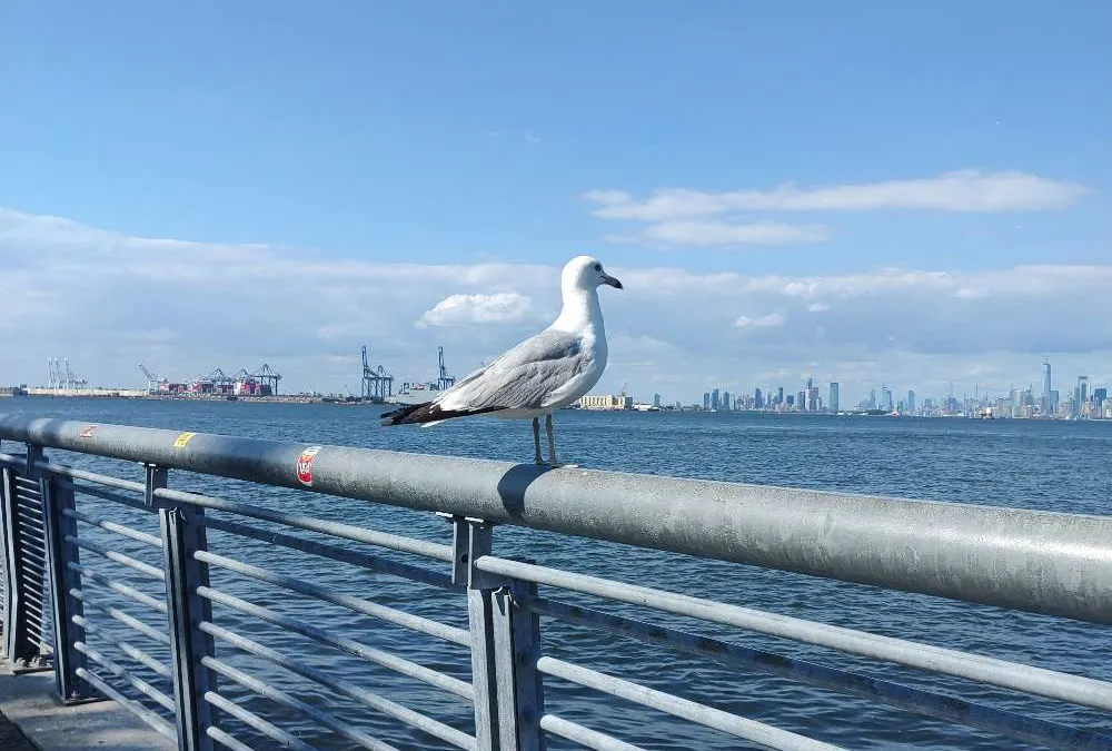 UN RESPIRO LLAMADO STATEN ISLAND