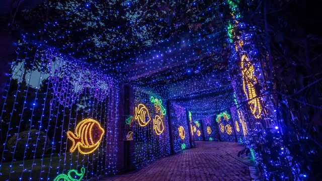 De inicio a la Navidad, visitando el día de velitas el Jardín Botánico de Bogotá.